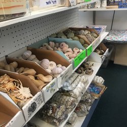 Sea Pleasures & Treasures of Sarasota