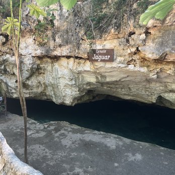 Cenote Tortuga - Cenote Jaguar - Local Flavor Near Me - Quintana Roo, ROO Cenote Tortuga - Cenote Jaguar - Local Flavor Near Me - Quintana Roo, ROO