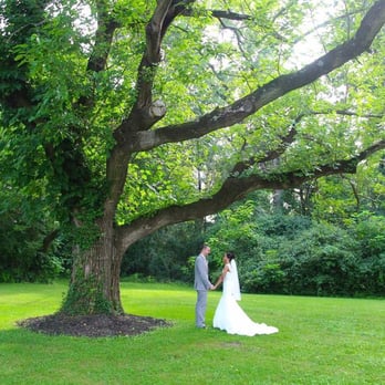 The Glendale Lyceum - Another snap of the Glendale Lyceum wedding tree. - Venues & Event Spaces Near Me - Cincinnati, Ohio The Glendale Lyceum - Another snap of the Glendale Lyceum wedding tree. - Venues & Event Spaces Near Me - Cincinnati, Ohio