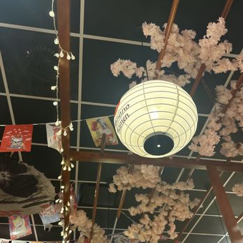 Minano Ramen - Ceiling decor - Bubble Tea Near Me - Tampa, Florida Minano Ramen - Ceiling decor - Bubble Tea Near Me - Tampa, Florida