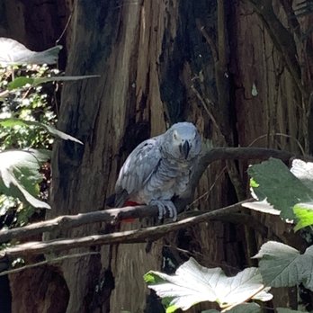 Sequoia Park Zoo - Zoos Near Me - Eureka, California Sequoia Park Zoo - Zoos Near Me - Eureka, California