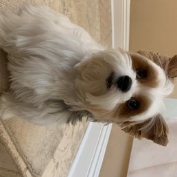 My beautiful boy! My beautiful boy!