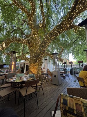 Anejo Mexican Bistro by null
