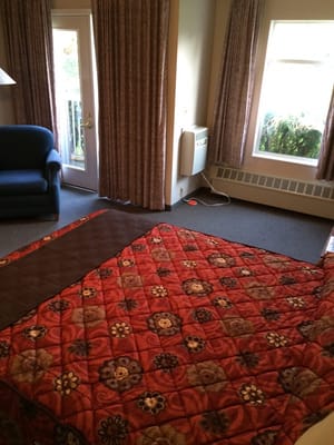 Bear Lodge @ Wedgewood Resort by null