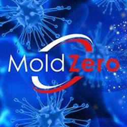 Mold Zero
