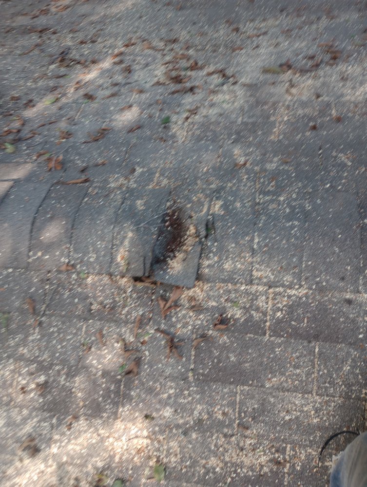 Slide of Post Roofing & Tree Services