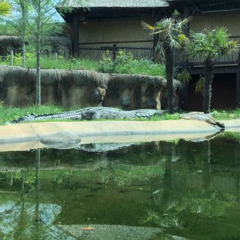 Memphis Zoo - Zoos Near Me - Memphis, Tennessee Memphis Zoo - Zoos Near Me - Memphis, Tennessee