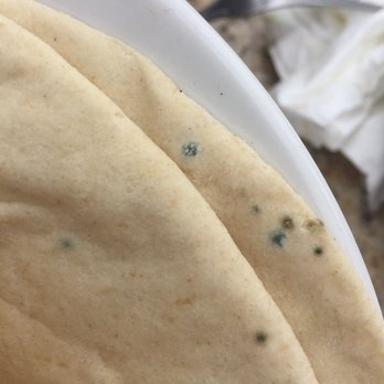 Pita Jungle - Molded pita - Mediterranean Near Me - Phoenix, Arizona