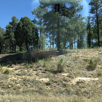 Show Low City Of - Lots of trees - Parks Near Me - Show Low, Arizona Show Low City Of - Lots of trees - Parks Near Me - Show Low, Arizona