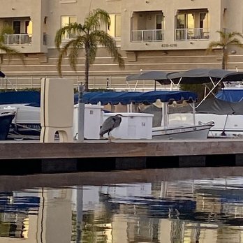 Gondola Paradiso - Blue Heron - Boat Charters Near Me - Oxnard, California
