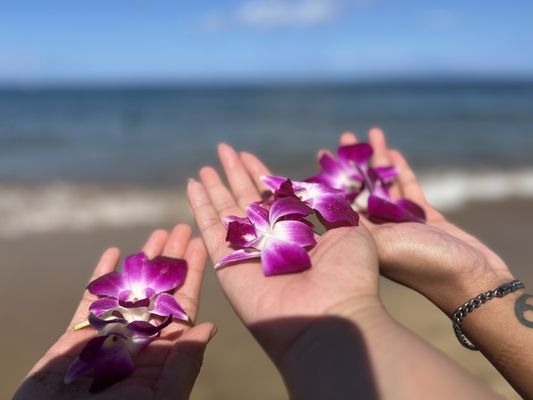 Kamaole Beach Park I by null