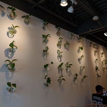 Tiki Tea - Coffee & Tea Near Me - Portland, Oregon Tiki Tea - Coffee & Tea Near Me - Portland, Oregon
