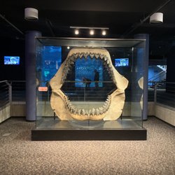 Aquarium Gift Shop