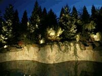 Slide of Artistic Illumination