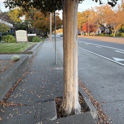 Touch of Magick Massage - New location in Santa Rosa - plenty of street parking