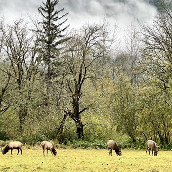Meadowbrook Farm Preserve - Venues & Event Spaces Near Me - North Bend, Washington Meadowbrook Farm Preserve - Venues & Event Spaces Near Me - North Bend, Washington