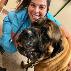 Sit Stay VA - Slobbery hugs!