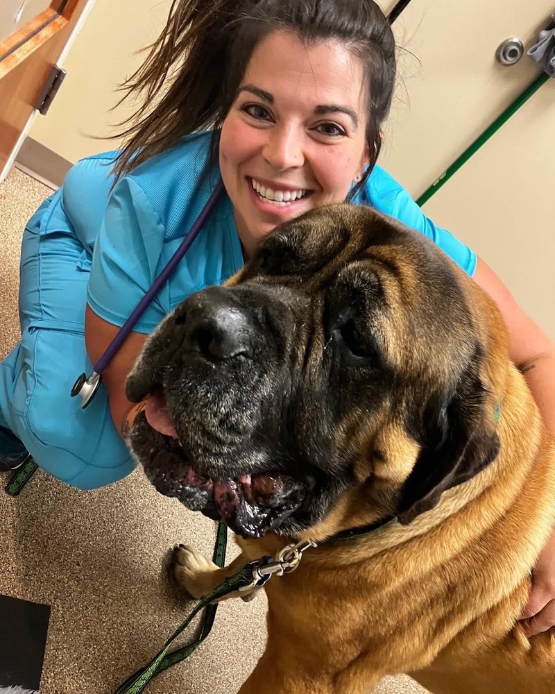 SIT STAY VA Updated May 2024 Warrenton, Virginia Veterinarians Phone Number Yelp