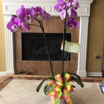 The Flower Box - Orchids - Florists Near Me - Georgetown, Texas