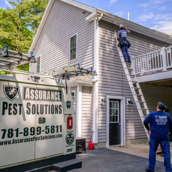 Assurance Pest Solutions - Pest Control Near Me Assurance Pest Solutions - Pest Control Near Me