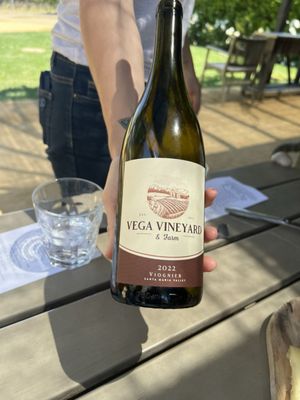 Vega Vineyard and Farm by null