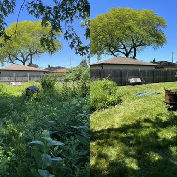 Alta Lawn Care - Brush Removal/Property Cleanup - Lawn Services Near Me - La Crosse, Wisconsin Alta Lawn Care - Brush Removal/Property Cleanup - Lawn Services Near Me - La Crosse, Wisconsin