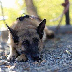 Three Rivers Brewing Co