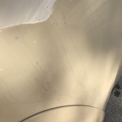 Yellow Dog Car Wash