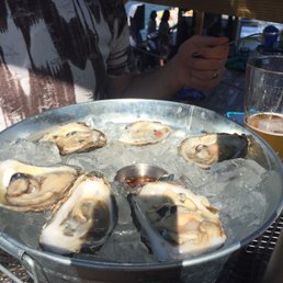 Oysters