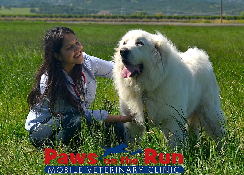 PAWS ON THE RUN MOBILE VETERINARY CLINIC Updated September 2024