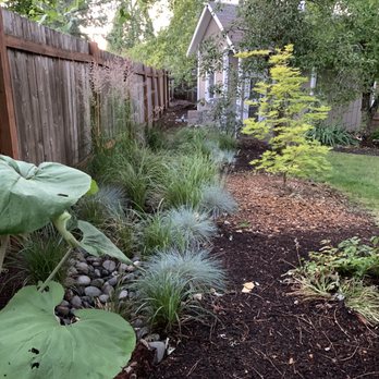 Drainage Masters - First rain garden. Drainage Masters solved my basement water leaks AND added year-round color to my backyard. - Plumbing Near Me - Battle Ground, Washington