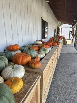 Big Red Orchard by null