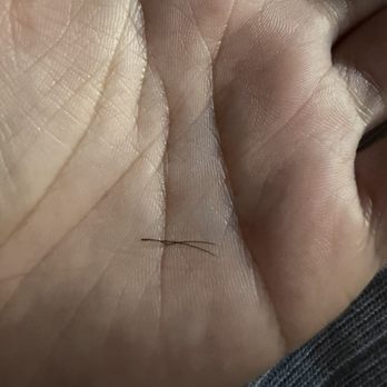 Meeto Beauty - Poor quality lashes come off less than 1 week - Eyelash Service Near Me - El Monte, California Meeto Beauty - Poor quality lashes come off less than 1 week - Eyelash Service Near Me - El Monte, California