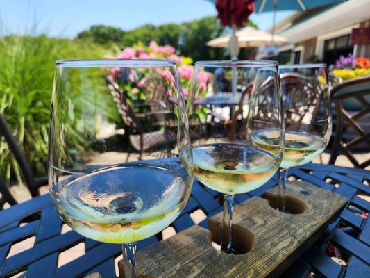 Cape May Winery & Vineyard by null