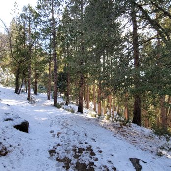 Ernie Maxwell Scenic Trail - Hiking Near Me