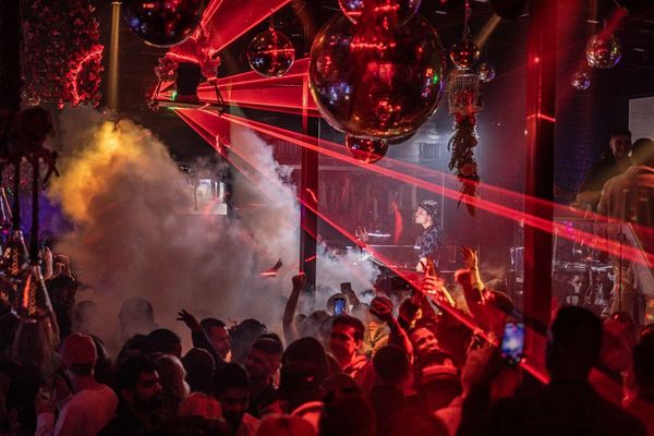 Zebbie's Garden by null