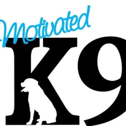 Motivated K9 - Training One Human at a Time