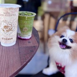 Tie Guanyin Fresh Milk Tea w/ grass jelly ($7) + Matcha Strawberry Cheese Foam ($7.50)