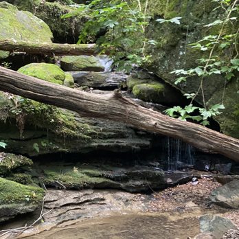 Bankhead National Forest - Landmarks & Historical Buildings Near Me - Double Springs, Alabama Bankhead National Forest - Landmarks & Historical Buildings Near Me - Double Springs, Alabama
