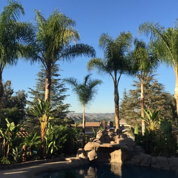 Jae Tree Service - Great service and quality work! - Tree Services Near Me Jae Tree Service - Great service and quality work! - Tree Services Near Me