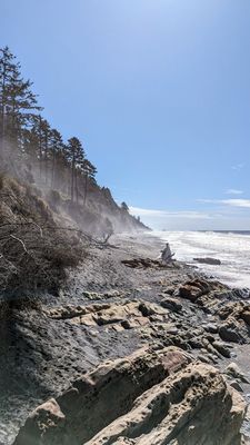 Kalaloch Campground by null