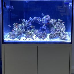 Aquarium 120g with sump Aquarium 120g with sump