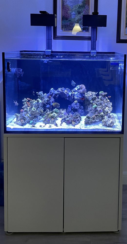 AQUATIC TREASURES 130 Photos & 69 Reviews 3211 N Tenaya Way, Las