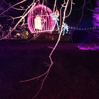 Harry Potter - A Forbidden Forest Experience - Amusement Parks Near Me - Little Elm, Texas