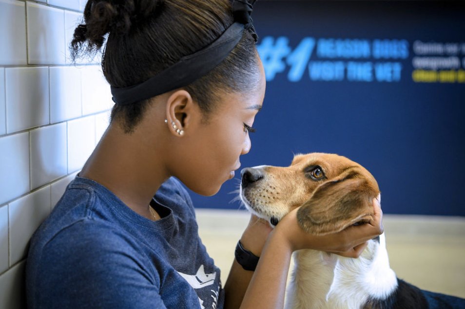 SCENTHOUND OPENING SOON Updated August 2024 4236 Northlake Blvd