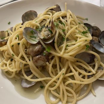 Antica Boheme - Spaghettoni alle vongole veraci (spaghetti and clams) - Italian Near Me - Rome, RM Antica Boheme - Spaghettoni alle vongole veraci (spaghetti and clams) - Italian Near Me - Rome, RM