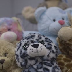 Kicks & Wiggles - Heartbeat Teddy Bears