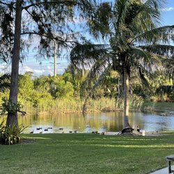 Cypress Wellness Retreat - Serenity