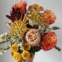 Bloom Tuesday