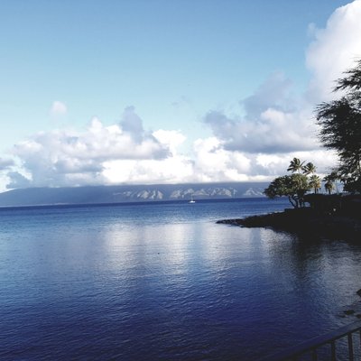 Honokeana Cove by null